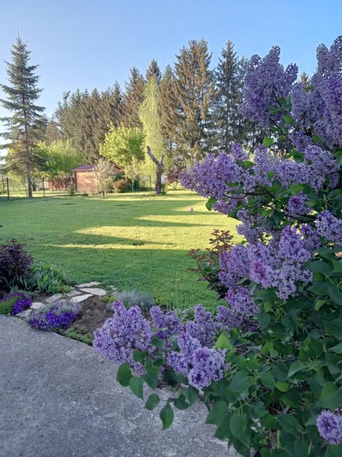Apartman Bepo Госпич Экстерьер фото